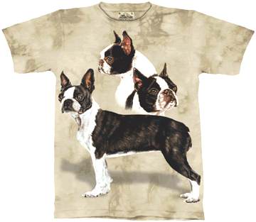 Boston Terrier Shirt
