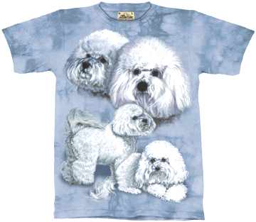 Bichon Frise Shirt