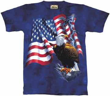 American Flag Bald Eagle Shirt