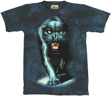 Panther Shirt Stalking