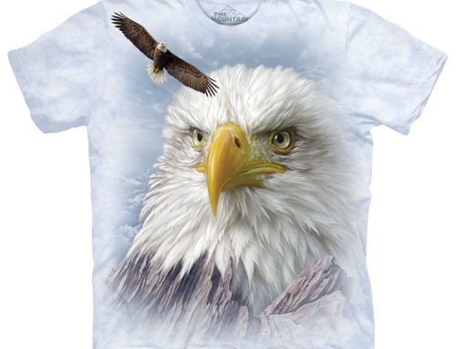 Facing the Future: Challenges and Opportunities in Bald Eagle Conservation Efforts