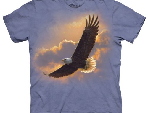 Public Awareness: The Unsung Hero in the Bald Eagle Conservation Story