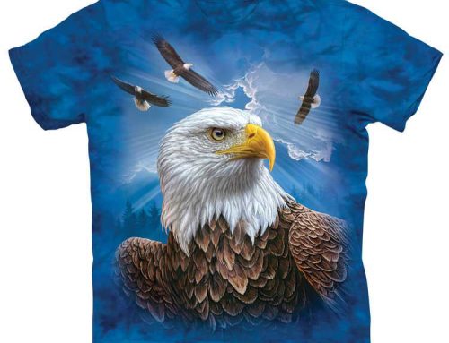 Discovering Bald Eagle Habitats: Where Nature Thrives and Eagles Nest