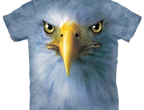 Bald Eagle Size and Strength: How They Compare to Other Raptors and What It Means for Their Survival