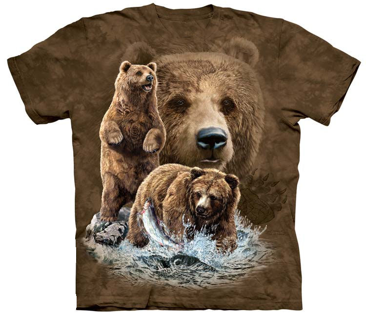 Find 10 Brown Bears Shirt