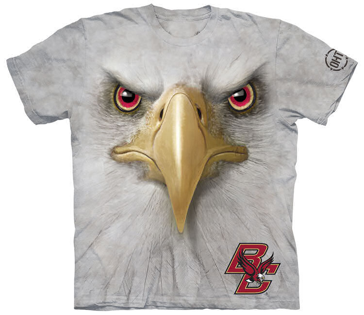 Bald Eagle Size and Strength