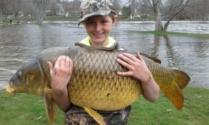 carp