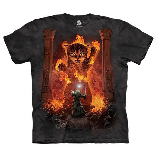 YOU SHALL NOT PASS SHIRT